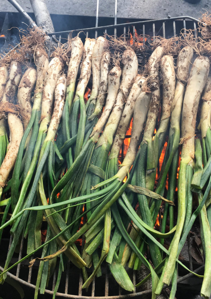 Calçots